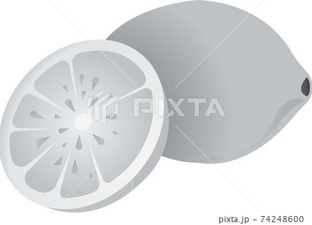 Yellow lemon. Vector illustration isolated on white background. Yellow lemon. Vector illustration isolated on white background. 74248600
