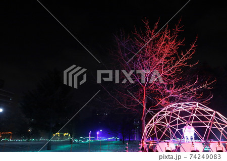 札幌中島公園でひっそり開催されているイルミネーションイベントの写真素材