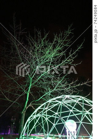 札幌中島公園でひっそり開催されているイルミネーションイベントの写真素材