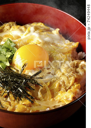卵黄、みつば、刻み海苔の乗っている玉子丼を黒背景で撮影 卵黄、みつば、刻み海苔の乗っている玉子丼を黒背景で撮影 74249448