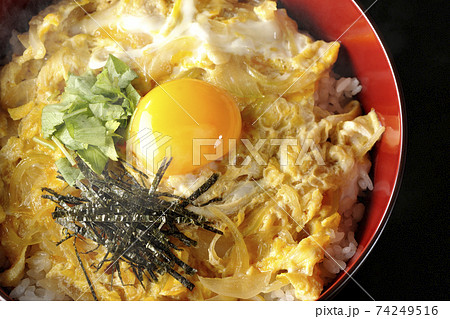 卵黄、みつば、刻み海苔の乗っている熱々玉子丼を黒背景で撮影(俯瞰) 卵黄、みつば、刻み海苔の乗っている熱々玉子丼を黒背景で撮影(俯瞰) 74249516
