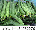きゅうり 74250276