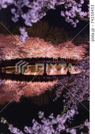 弘前公園の夜桜 74250453