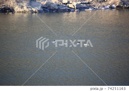 川 河 海 74251163