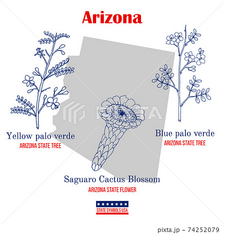 Arizona. Set of USA official state symbols 74252079