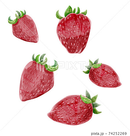 ミックスベリーの手描き水彩風イラストのイラスト素材