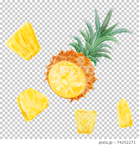 パイナップルの手描き水彩風イラストのイラスト素材