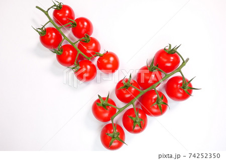 房付きトマト 房どりトマト トマト とまと 房付きトマト 房どりトマト トマト とまと 74252350
