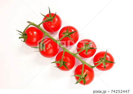 房付きトマト 房どりトマト トマト とまと 房付きトマト 房どりトマト トマト とまと 74252447