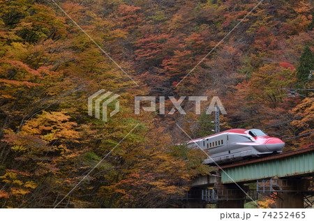 紅葉と秋田新幹線のE6系こまち 74252465