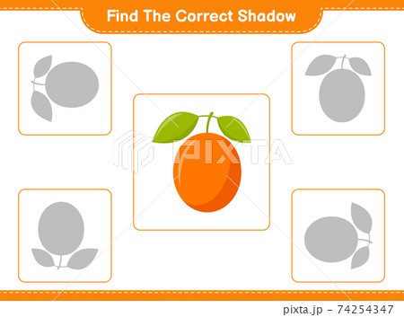 Find the correct shadow. Find and match the correct shadow of Ximenia. Educational children game, printable worksheet, vector illustration 74254347
