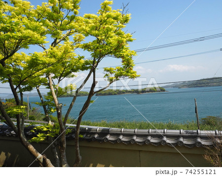 新緑の景色 新緑の景色 74255121