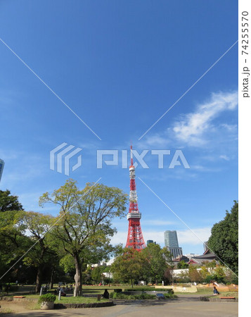 芝公園から見える東京タワー 74255570