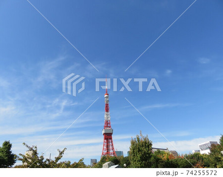 芝公園から見える東京タワー 芝公園から見える東京タワー 74255572