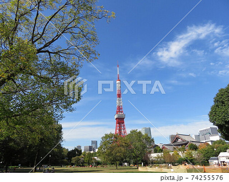 芝公園から見える東京タワー 74255576