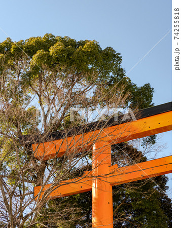 小江戸川越の風情豊かな景色 由緒ある社寺のの大鳥居の写真素材