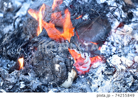 お焚き上げの炎 古い正月飾りや縁起物がお清めの炎で炭と灰になる お焚き上げの炎 古い正月飾りや縁起物がお清めの炎で炭と灰になる 74255849