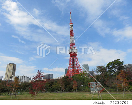 芝公園から見える東京タワー 74256705