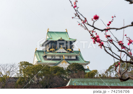 春の大阪城と梅の花 春の大阪城と梅の花 74256706