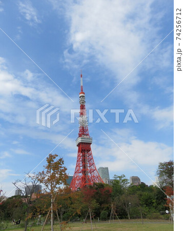 芝公園から見える東京タワー 芝公園から見える東京タワー 74256712