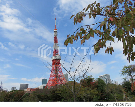 芝公園から見える東京タワー 芝公園から見える東京タワー 74256719