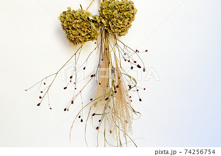 紫陽花　すすき　ドライフラワー 74256754