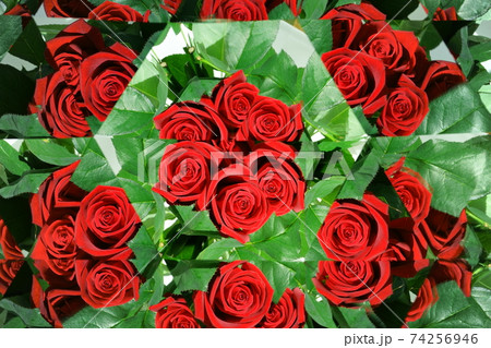 赤い薔薇・万華鏡4 赤い薔薇・万華鏡4 74256946