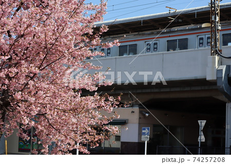 晴れた青空を背景にし満開に咲くピンク色の桜と武蔵野線西浦和駅の電車 晴れた青空を背景にし満開に咲くピンク色の桜と武蔵野線西浦和駅の電車 74257208
