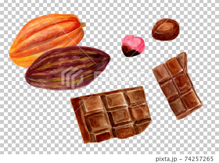 カカオとチョコレートの水彩イラスト 74257265