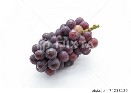 ぶどう 74258136