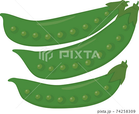 きぬさや 74258309