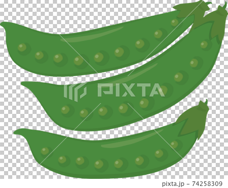 きぬさや 74258309