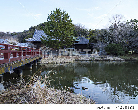 鎌倉幕府執権北条氏ゆかりの金沢文庫のとなり神奈川県横浜市金沢区称名寺の早春の写真素材