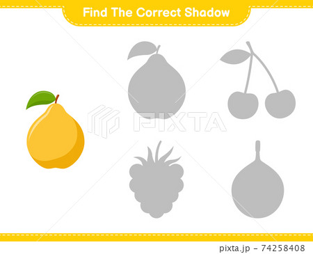 Find the correct shadow. Find and match the correct shadow of Quince. Educational children game, printable worksheet, vector illustration 74258408