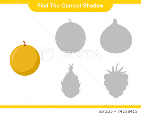 ind the correct shadow. Find and match the correct shadow of Honey Melon. Educational children game, printable worksheet, vector illustration ind the correct shadow. Find and match the correct shadow of Honey Melon. Educational children game, printable worksheet, vector illustration 74258415