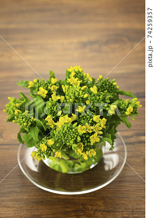 菜の花 なばな 食材 花 食べ物 春 生 新鮮 フレッシュの写真素材