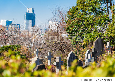 山手外国人墓地と横浜の町並み 山手外国人墓地と横浜の町並み 74259464