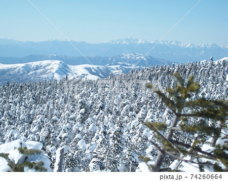 冬の北八ヶ岳 冬の北八ヶ岳 74260664