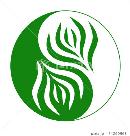 Vector abstract green round logo design templates - emblems for holistic medicine centers, natural and organic food products and packaging. Yin Yang symbol with green and white 74260963
