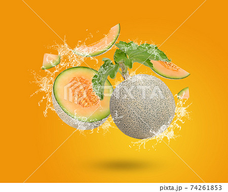 Water Splash On fresh Cantaloupe With Leaves Isolated On Yellow Background Water Splash On fresh Cantaloupe With Leaves Isolated On Yellow Background 74261853