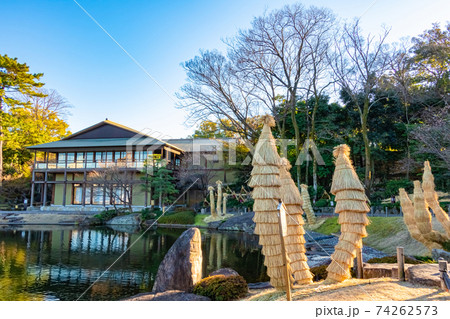 徳川園、蘇鉄の菰巻き〈愛知県名古屋市〉 74262573