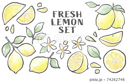 手描き風 レモンのイラストセットのイラスト素材