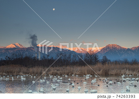 御宝田遊水池の夜明け【北アルプス、モルゲンロート】 御宝田遊水池の夜明け【北アルプス、モルゲンロート】 74263393