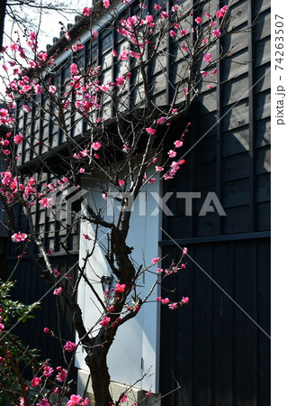 冬晴れの半田運河界隈　蔵の街 74263507