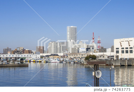 船橋港親水公園から見た船橋港 74263775