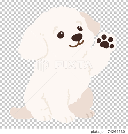 Simple and cute Maltese illustration of sitting and waving, cream white color, no main line 74264580