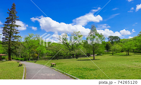 平和公園、緑の櫻の園〈愛知県名古屋市〉 平和公園、緑の櫻の園〈愛知県名古屋市〉 74265120
