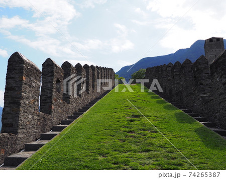 Flanking and grass in castel grande in Bellinzona city in Switzerland Flanking and grass in castel grande in Bellinzona city in Switzerland 74265387