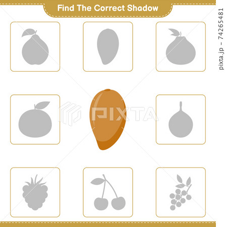 Find the correct shadow. Find and match the correct shadow of Zapote. Educational children game, printable worksheet, vector illustration 74265481
