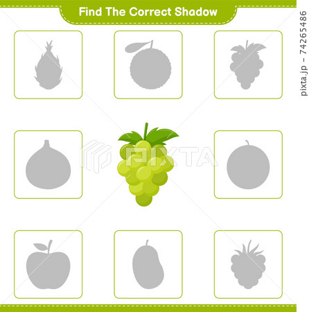 Find the correct shadow. Find and match the correct shadow of Grape. Educational children game, printable worksheet, vector illustration 74265486